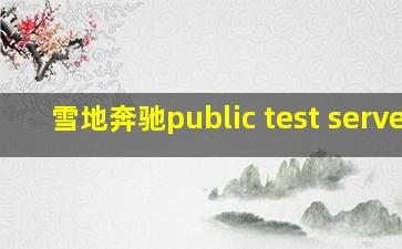 雪地奔驰public test server